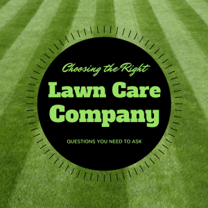 Lawn Care Company