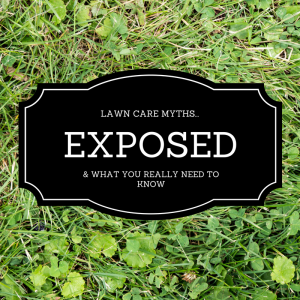 lawn-care-myths